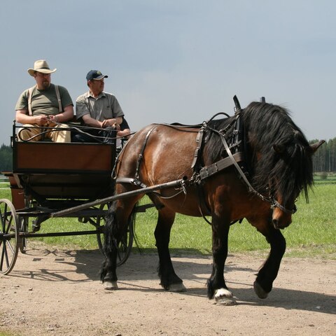 Hans Sidbäck Uusikaupunki 2011
