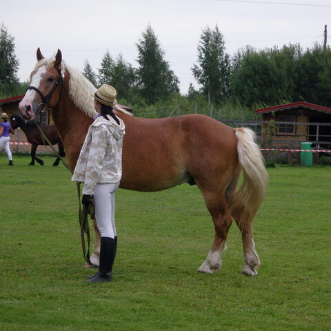 XVII raskeveopäivät 2011
