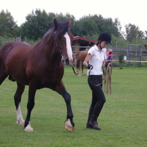 XVII raskeveopäivät 2011
