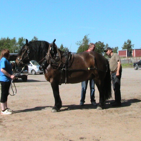Hans Sidbäck Uusikaupunki 2011