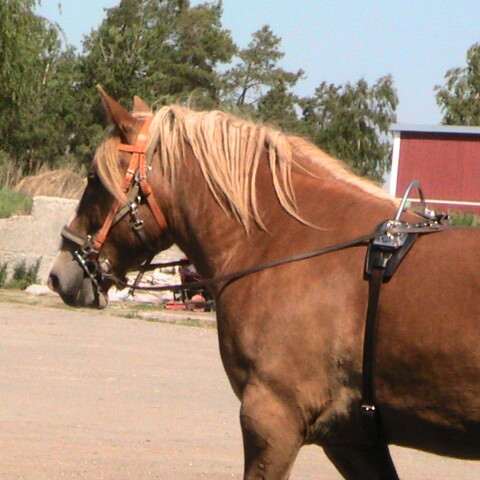 Hans Sidbäck Uusikaupunki 2011